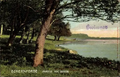 Ak Ostseebad Eckernförde, Partie am Noor