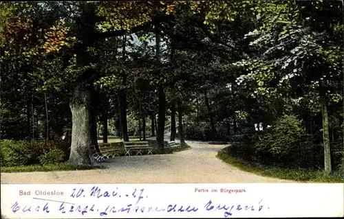 Ak Bad Oldesloe in Schleswig Holstein, Partie im Bürgerpark