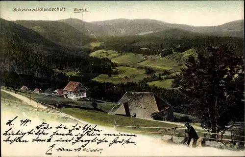Ak Bärental Feldberg im Schwarzwald, Schwarzwaldlandschaft