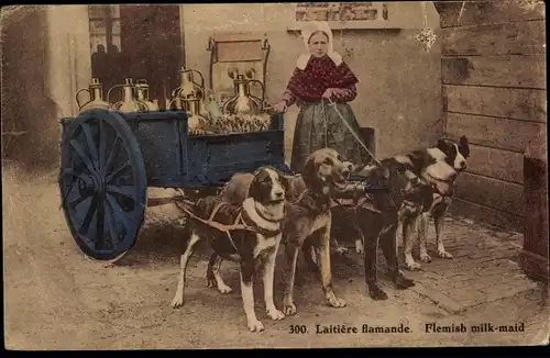 Ak Flämische Milchmarkt in Tracht, vierer Hundegespann