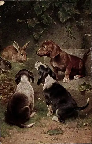 Künstler Ak Dackel, Drei Hunde mit Kaninchen, Hundewelpen