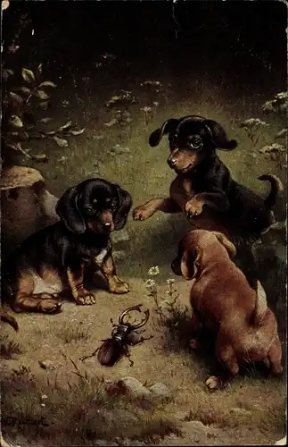 Künstler Ak Reichert, Hundewelpen beobachten einen Hirschkäfer