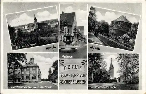 Ak Aschersleben in Sachsen Anhalt, Rathaus, Rundteil, Bestehornhaus, Postamt, Johannispromenade