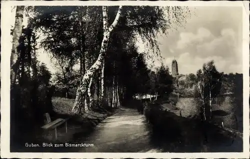 Ak Guben in der Niederlausitz, Wegpartie, Bismarckturm