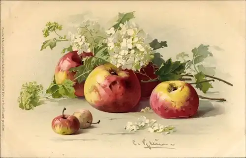 Künstler Litho Klein, Catharina, Stillleben mit Äpfeln und Blütenzweigen