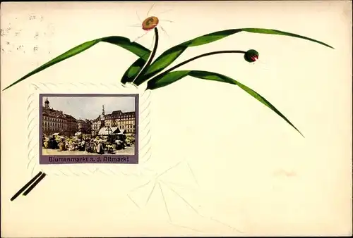 Passepartout Ak Dresden, Blumenmarkt, Altmarkt