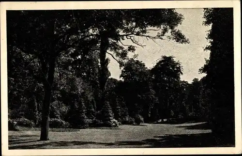 Ak Zeist Utrecht Niederlande, Walkertpark