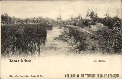 Ak Genck Flandern Limburg, Les Marais