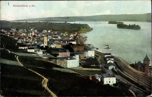 Ak Rüdesheim am Rhein Hessen, Blick auf den Ort mit Umgebung