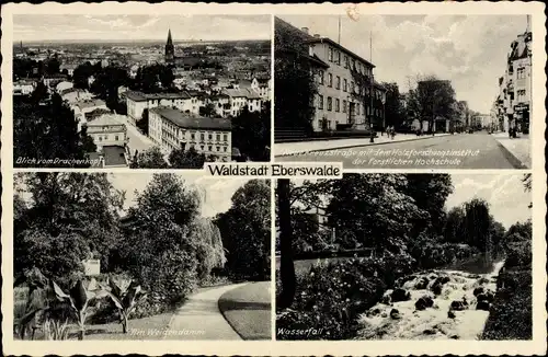Ak Eberswalde im Kreis Barnim, Blick vom Drachenkopf, Kreuzstraße, Holzforschungsinstitut