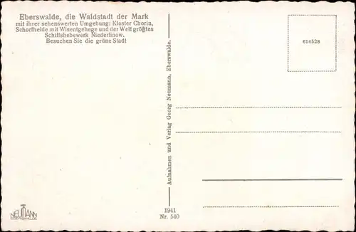 Ak Eberswalde im Kreis Barnim, Blick vom Drachenkopf, Kreuzstraße, Holzforschungsinstitut