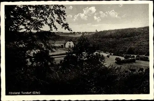 Ak Tondorf Nettersheim in der Eifel, Försterei