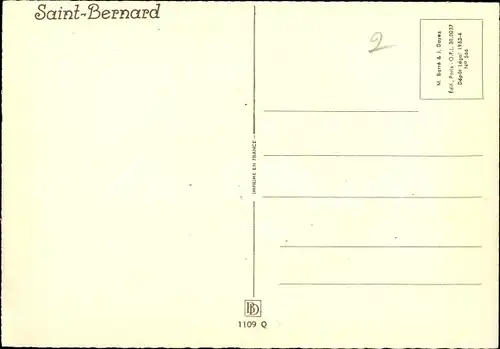 Künstler Ak Vincent, H., Hundeportrait, Bernhardiner, Saint Bernard
