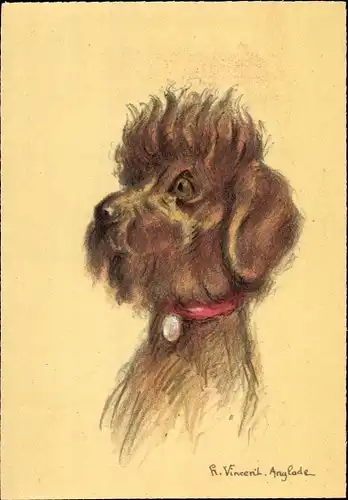 Künstler Ak Vincent, H., Hundeportrait, Caniche, Pudel