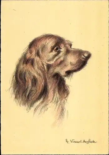 Künstler Ak Vincent, H., Hundeportrait, Setter irlandais