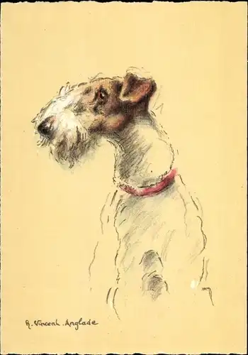 Künstler Ak Vincent, H., Hundeportrait, Fox à poils durs, Foxterrier