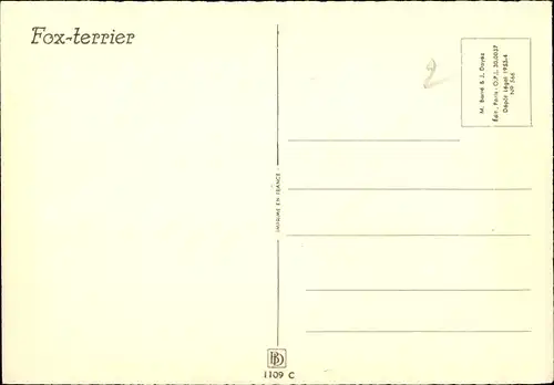Künstler Ak Vincent, H., Hundeportrait, Foxterrier