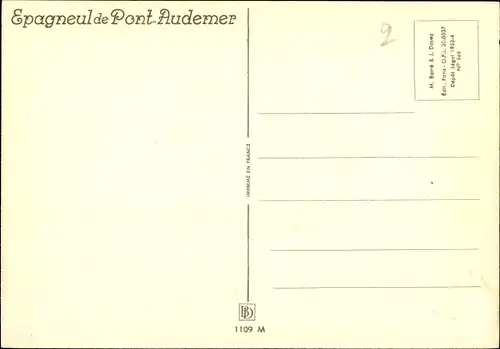 Künstler Ak Anglade, H. Vincent, Espagneule Pont Audemer, Hundeportrait