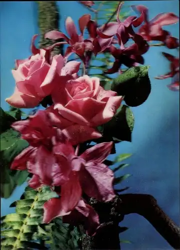 3 D Ak Roses and Orchids, rosa Blüten, Farn, Blumengesteck