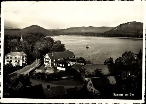 Ak Hamr na Jezeře Hammer am See Region Reichenberg, Hammersee, Teilansicht