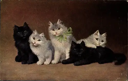 Künstler Ak Hauskatzen, Kätzchen, Schwarzweißes Fell, Schleife