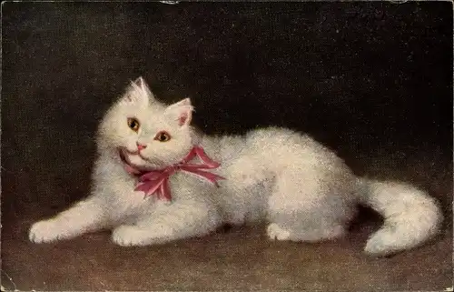 Ak Weiße Katze, Schleife, Portrait