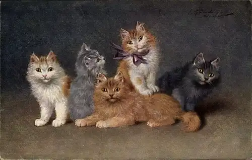 Künstler Ak Sperlich, Fünf Langhaarkatzen