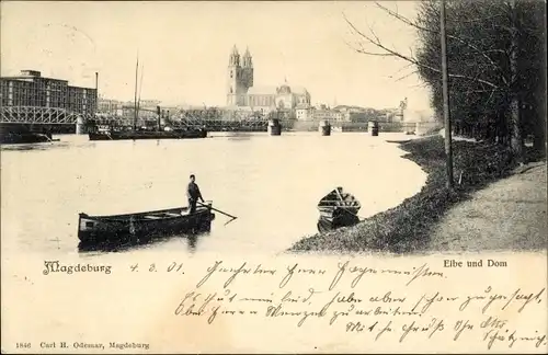 Ak Magdeburg an der Elbe, Elbe und Dom