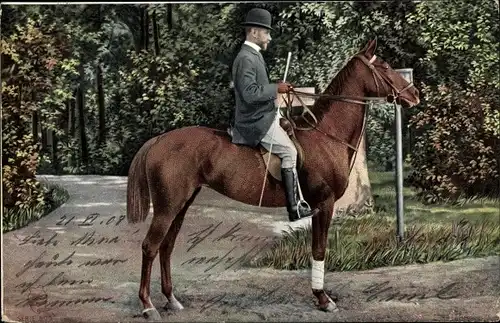 Ak Rassepferd, Ausritt im Wald, Mann in Reitermontur, Reitgerte