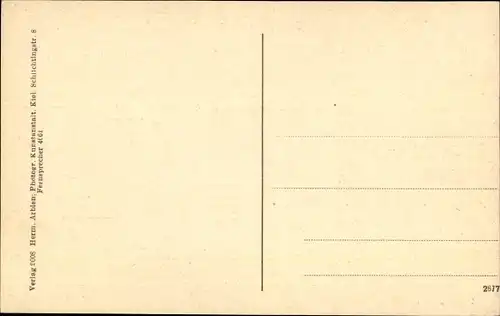 Ak Osterrade in Dithmarschen, Villa, Brücke