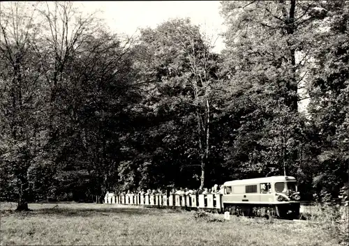 Ak Dresden Altstadt, Pioniereisenbahn im Großen Garten