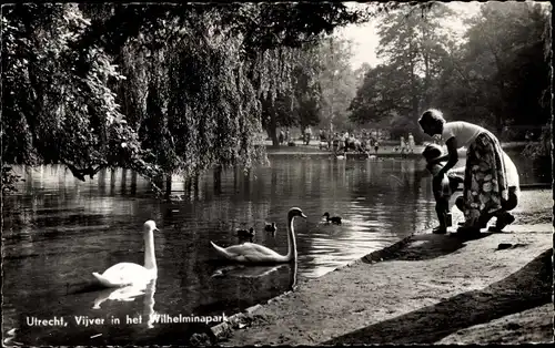 Ak Utrecht Niederlande, Vijver in het Wilhelminapark