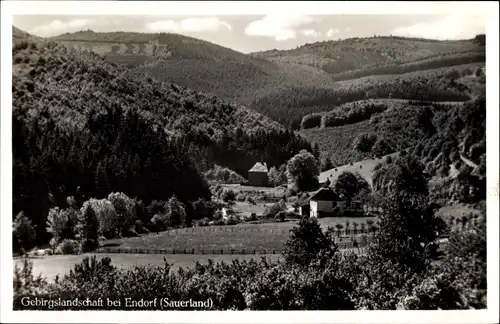 Ak Endorf Sundern im Sauerland, Blick zum Ort, Gebirgslandschaft