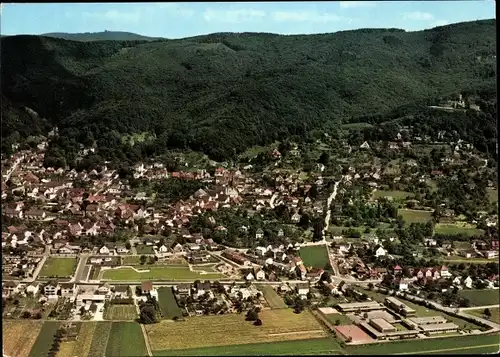Ak Alsbach Hähnlein an der Bergstraße Hessen, Panorama