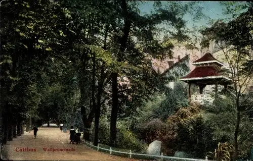 Ak Cottbus Brandenburg, Wallpromenade, Fußgänger, Wald, Pavillon