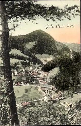 Ak Gutenstein in Niederösterreich, Panorama vom Ort