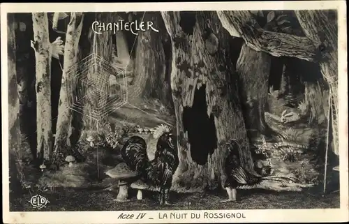Ak Chantecler, Acte IV, la Nuit du Rossignol, Theaterszene