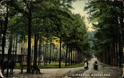 Ak Ginneken en Bavel Nordbrabant, Boschlaan