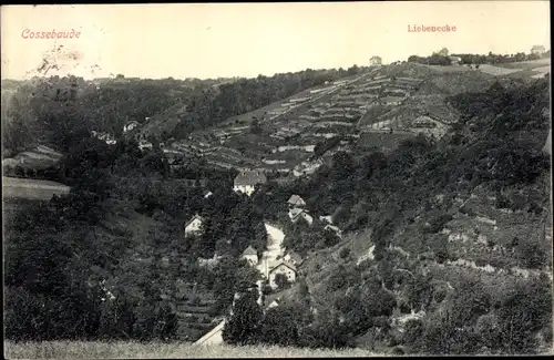 Ak Dresden Cossebaude, Liebenecke, Panorama