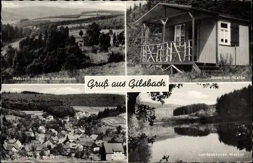 Ak Gilsbach Burbach im Siegerland, Haus am Walde, Naturschutzgebiet Schmitthain, Landeskroner Weiher