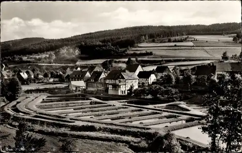 Ak Albaum Kirchhundem im Sauerland, Teichanlage der Landesfischanstalt