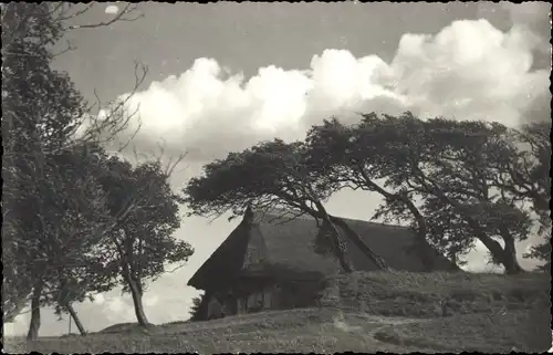 Foto Ak Ostseebad Wustrow Fischland, Reetdachhaus, Windflüchter