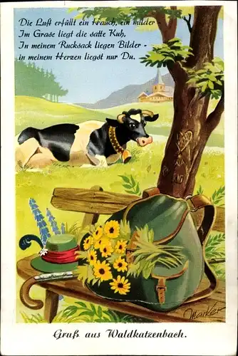Leporello Ak Waldkatzenbach Waldbrunn im Odenwald, Kuh, Bank, Wanderrucksack, Kirche, Reim