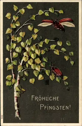 Ak Glückwunsch Pfingsten, Birke, Maikäfer