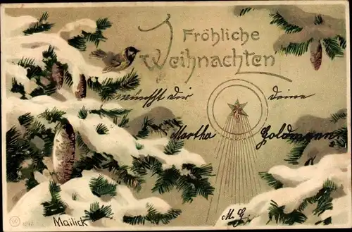 Künstler Litho Mailick, Glückwunsch Weihnachten, Schneebedeckte Tannenzweige