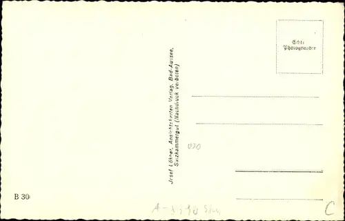 Ak Bad Aussee Steiermark, Teilansicht mit Zinken