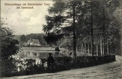 Ak Darmstadt in Hessen, Oberwaldhaus mit Steinbrücker Teich