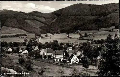 Ak Saalhausen Lennestadt im Sauerland, Panorama