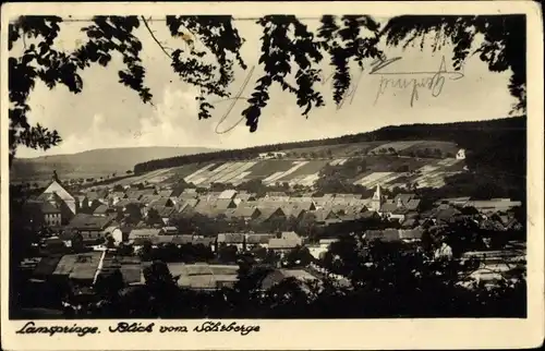 Ak Lamspringe in Niedersachsen, Panorama, Ortsansicht