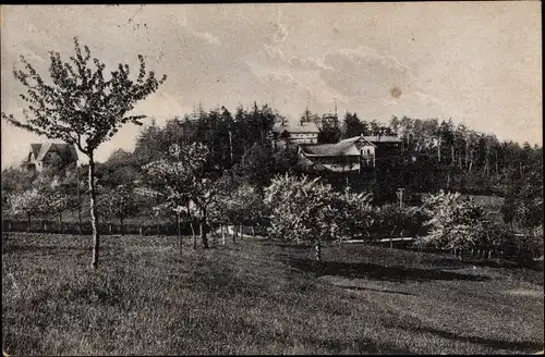 Ak Dresden Pillnitz, Partie am Borsberg mit Aussichtsturm